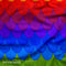 Rainbow Lorikeet Feathers - Pre-Order