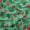 Strawberry Patch in Green - Pre-Order