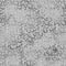 Silver Purr - Pre-Order