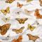 Butterflies by Thistle and Fox - Pre-order - Clover & Co Fabrics