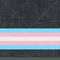 Trans Pride Stripes - Panel - Pre-Order