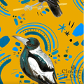 Magpie Mates in Mustard  - Canvas