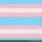 Trans Pride Stripes - Bamboo Lycra